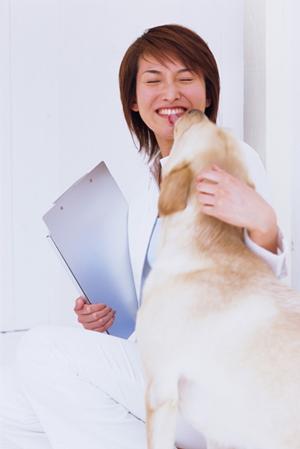 滋賀県のウエスティーの子犬販売のその後
