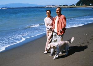 シロアリ駆除の専門サービス｜アサンテで安心の土日祝対応、即日施工も可能